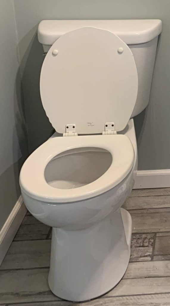 White two-piece toilet with open lid in a modern bathroom featuring gray walls and wood-look ceramic tile flooring.