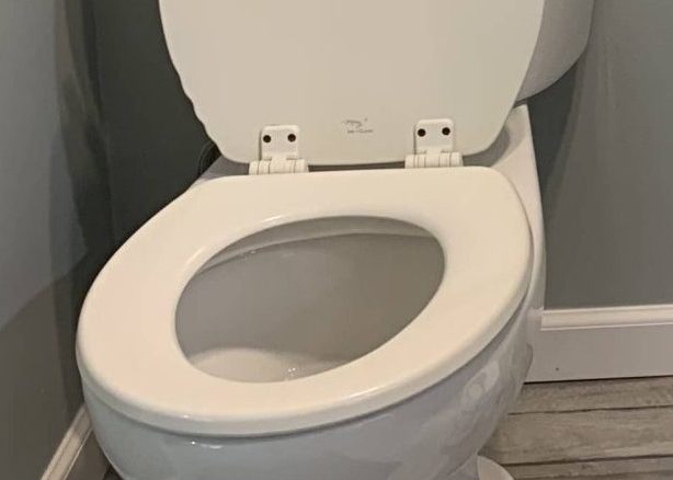 White two-piece toilet with open lid in a modern bathroom featuring gray walls and wood-look ceramic tile flooring.